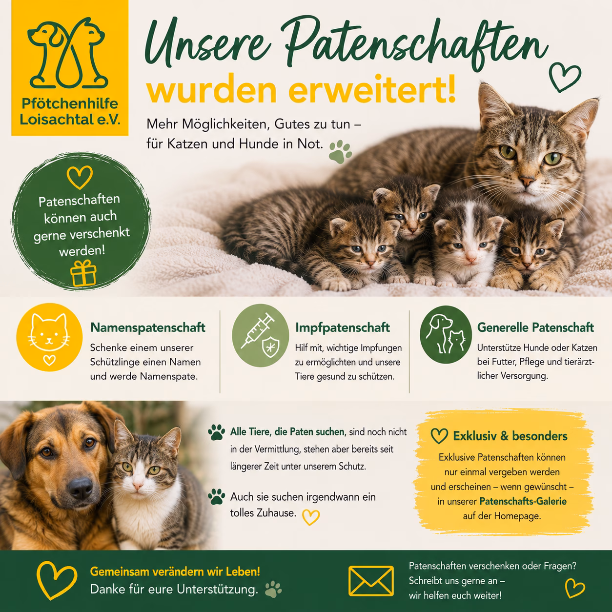 🐾 Unsere Patenschaften auf der Homepage wurden erweitert ❤️
