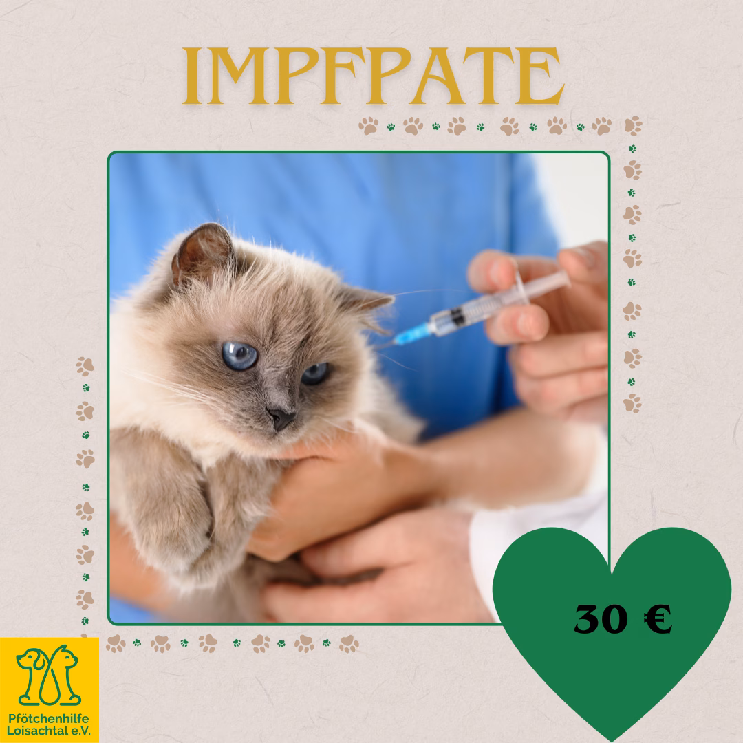 Impfpatenschaft für eine Katze